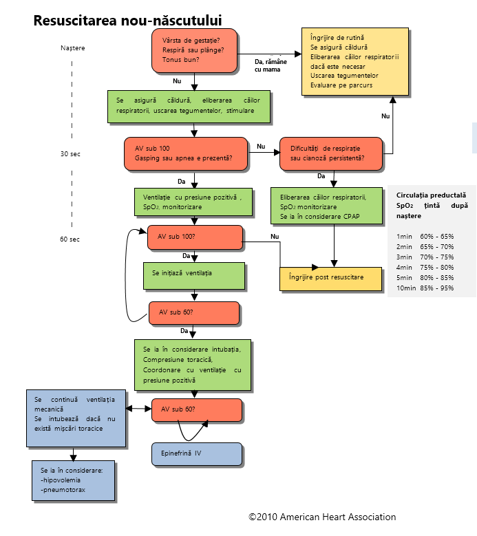 Figura 7 – Resuscitarea nou-născutului
