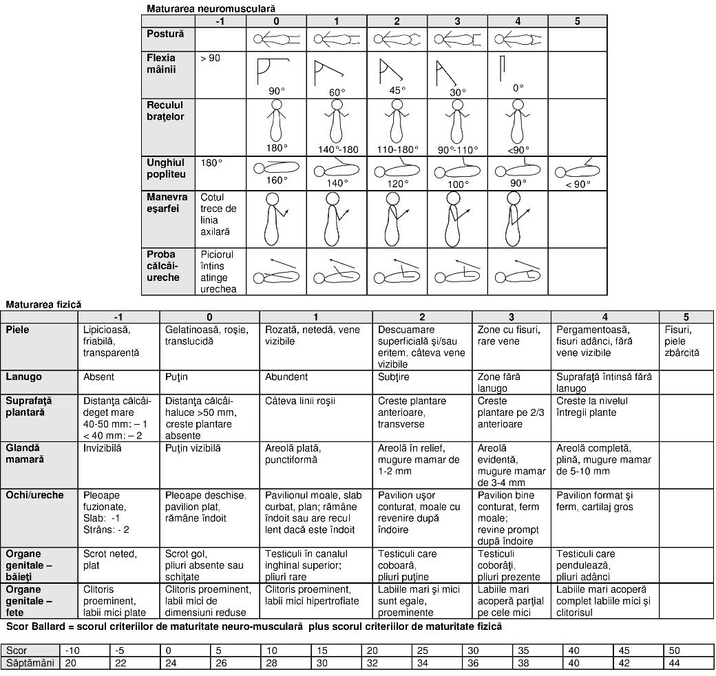 Scorul Ballard - diagramă de evaluare a vârstei de gestație