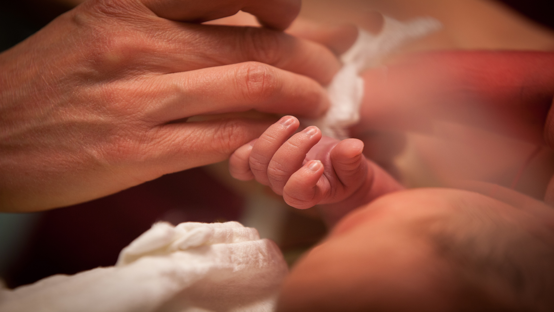 Fotografie din Secția de Terapie Intensivă Nou-născuți Marie Curie