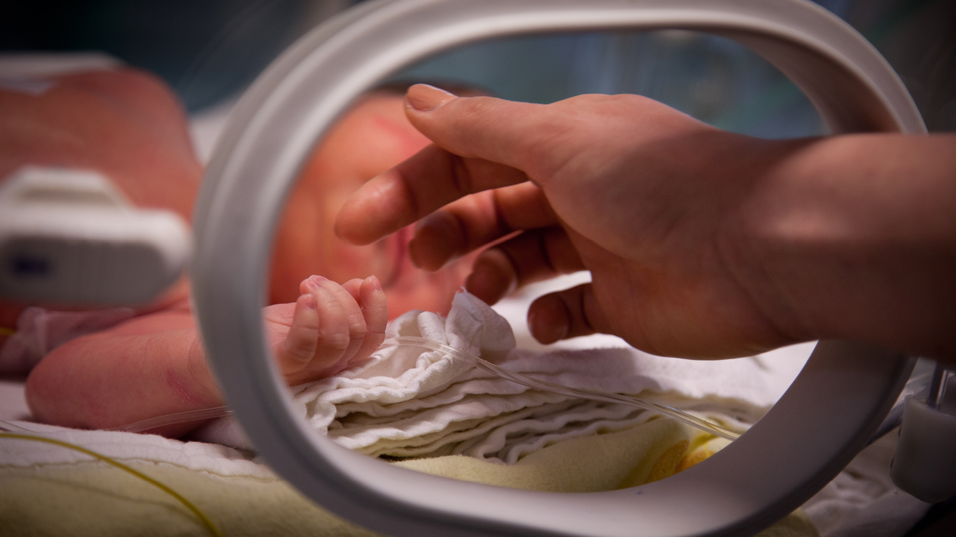 Fotografie din Secția de Terapie Intensivă Nou-născuți Marie Curie